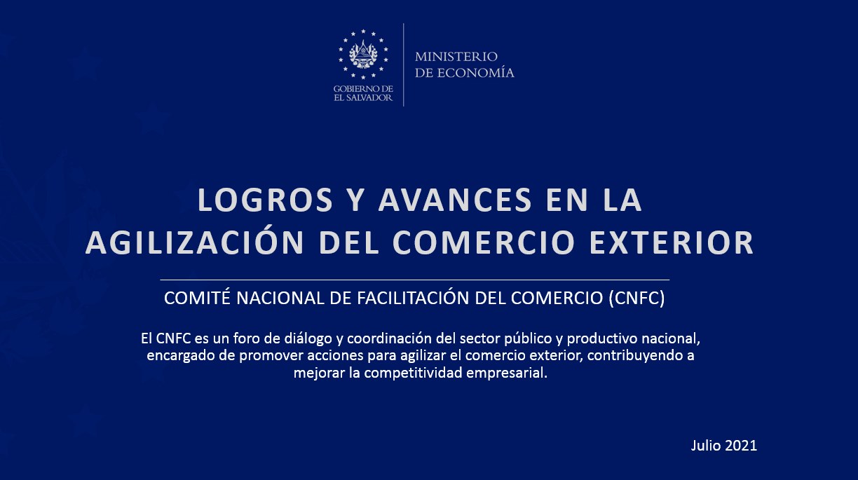 Avances y logros en agilización del comercio exterior